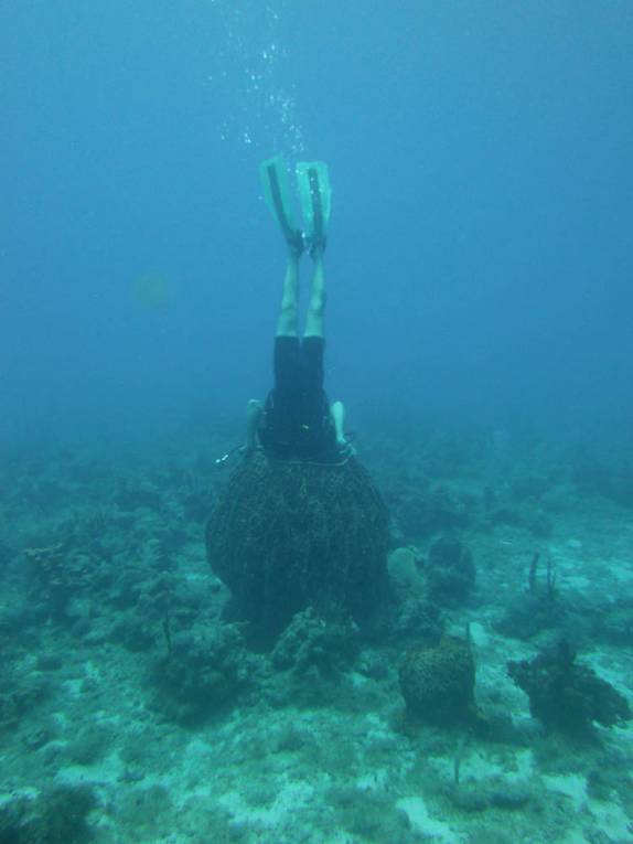 Entrando em uma esponja gigante em Yellow Monkey, na costa de Montserrat, no Caribe